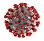 coronavirus-ilustracao-mostra-novo-virus-29012020214335295